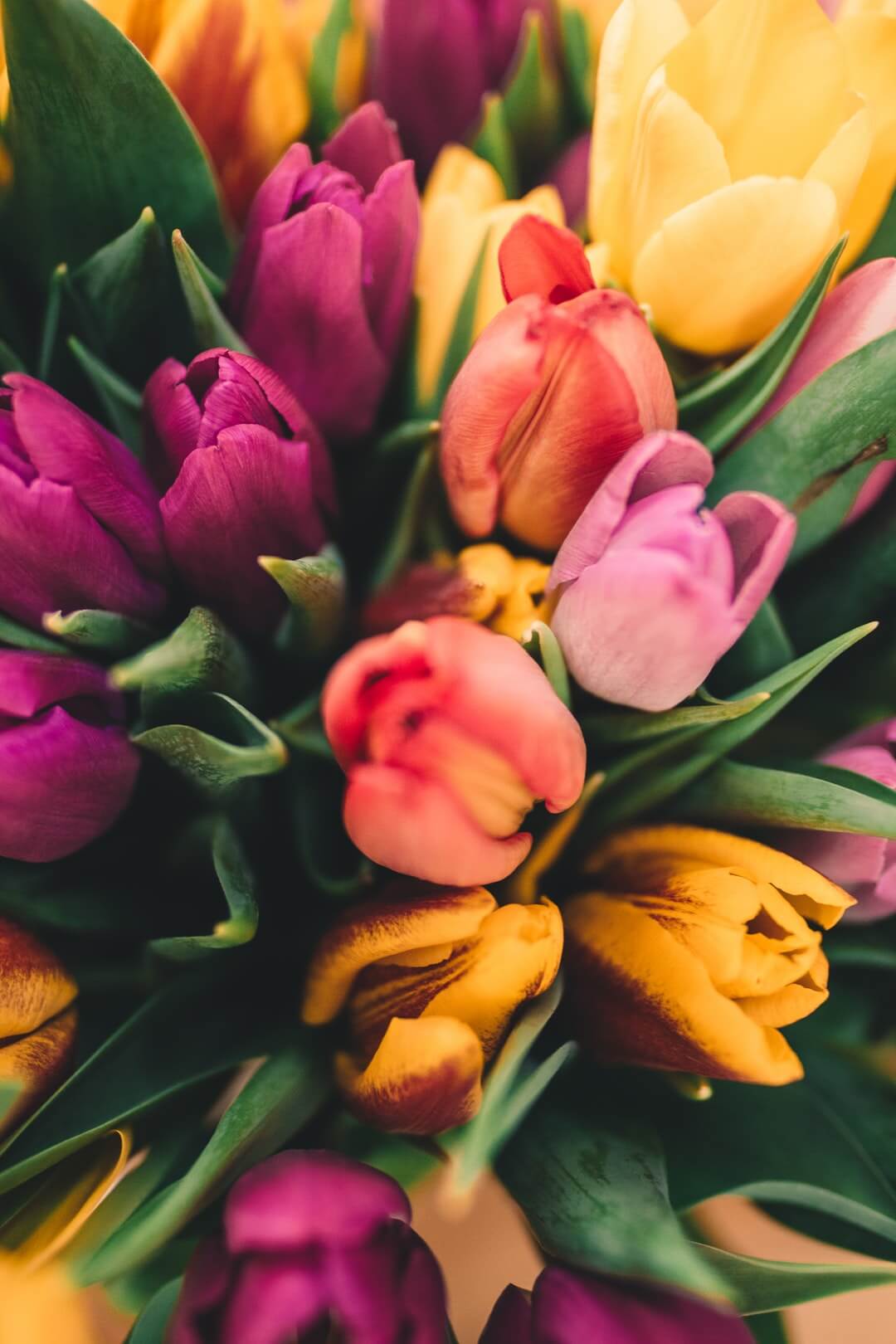 Lorem 2 ipsum ipsum dolor sit amet sit amet